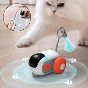 Smart 2-in-1 Remote Control Interactive Cat Toy Car